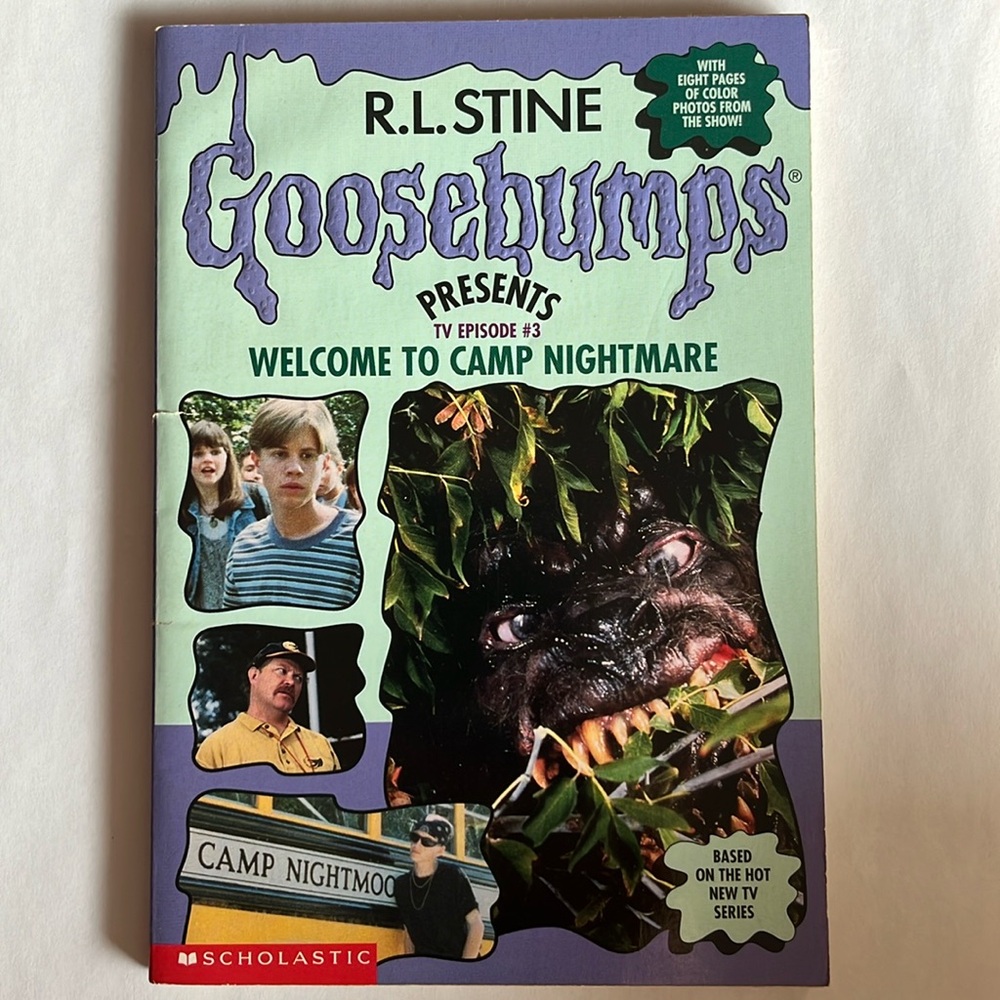 ⭐️ 5/$25 - GOOSEBUMPS - TV Episode #3 Welcome To Camp Nightmare